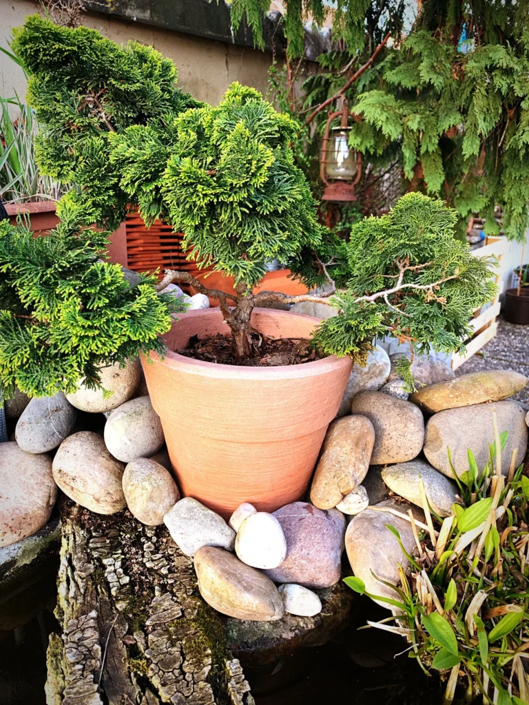 Innovative Corner Landscaping Ideas