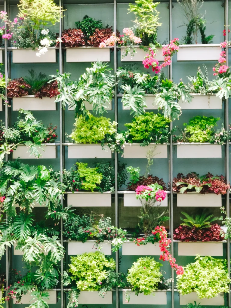 Creative Garden Layouts for Small Spaces