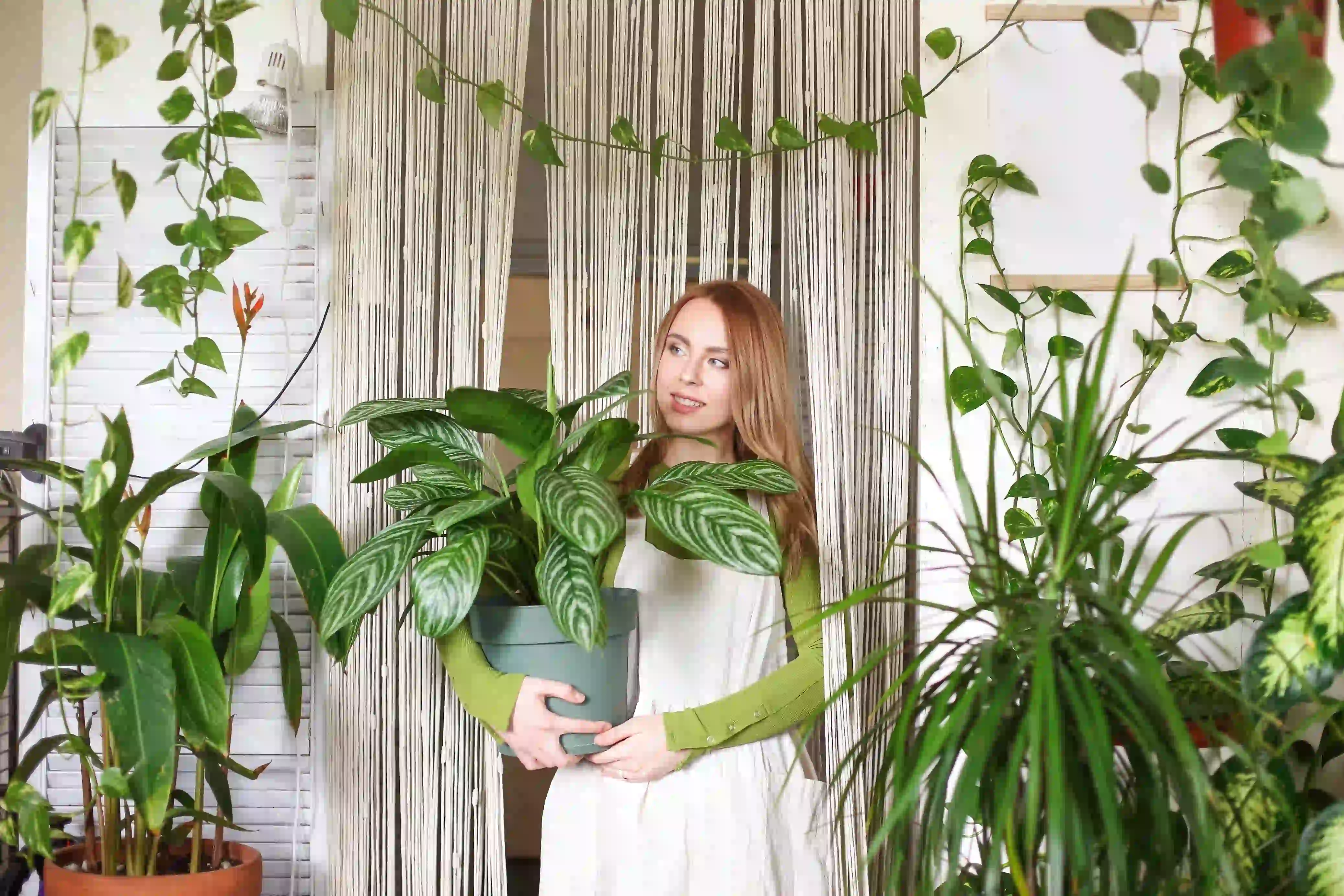 You are currently viewing 15 Genius Tips to Make Your Hanging Ivy Plants Indoor Flourish All Year